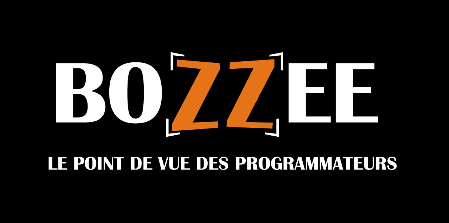 Création du logo BOZZEE